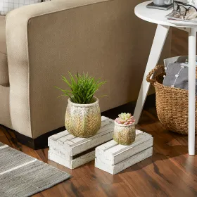 Vintage Leaf Design Cement Flower Pot Set of 2 - Decorative Planters for Indoor and Outdoor Gardens