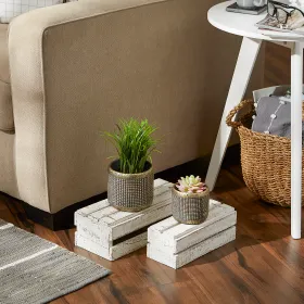 Contemporary Metallic Cement Flower Pot Set of 2 - Stylish Home Decor